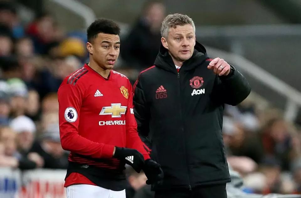 美国前橄榄 美国前橄榄